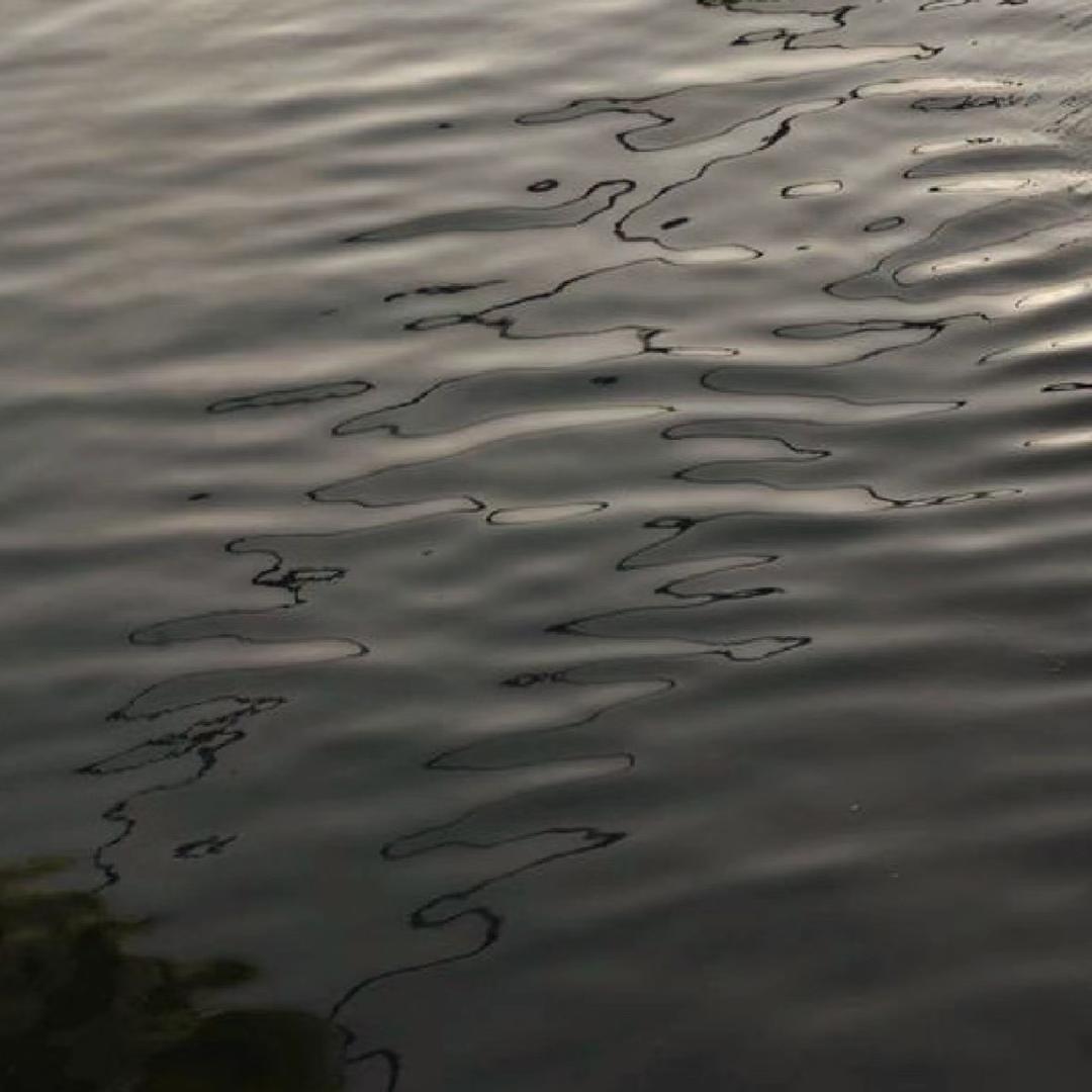 小醋包