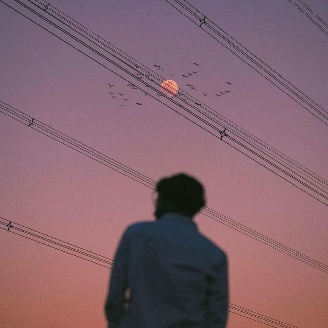 别看我只是一只杨