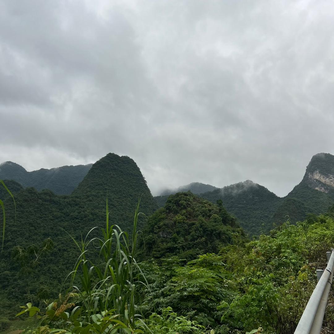 赶山阿鑫