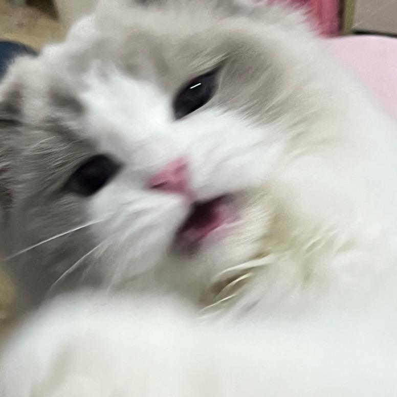芙FUFU