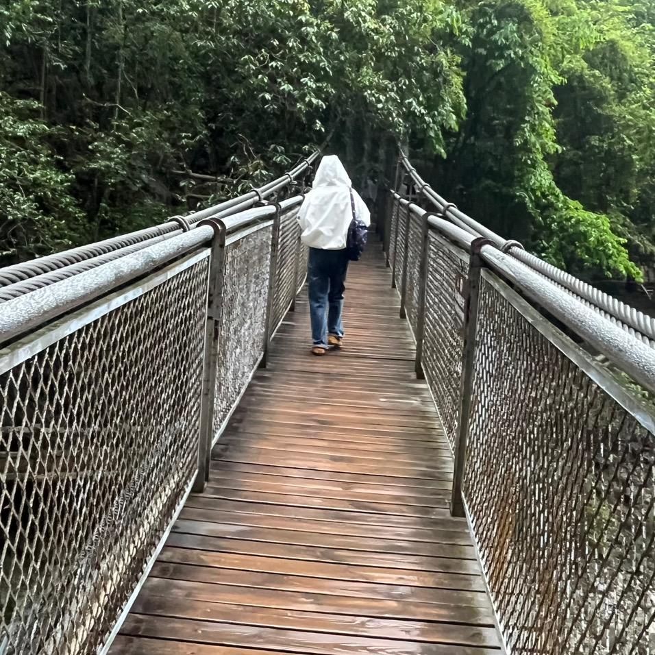梦雨