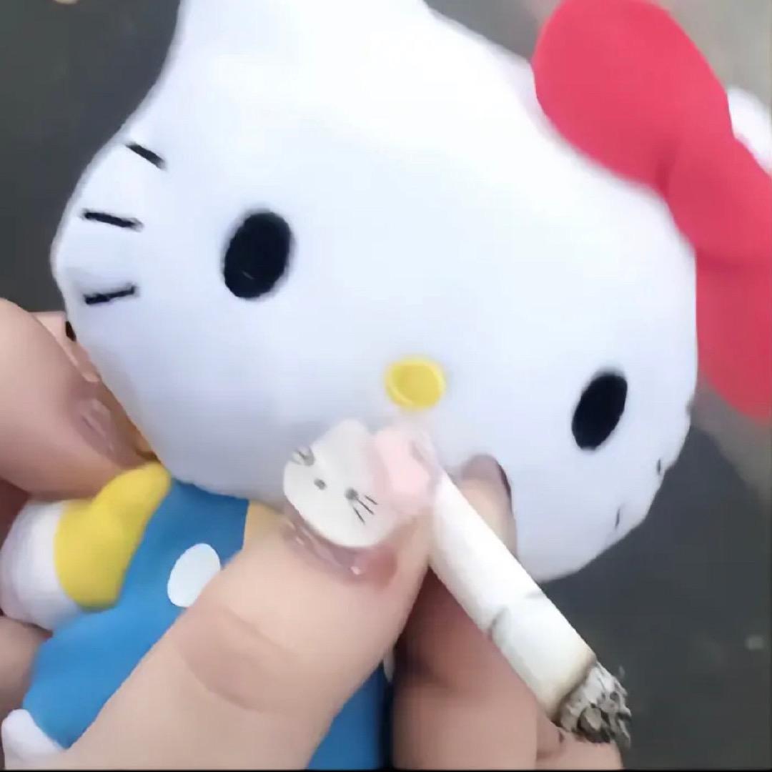 椰子2.0