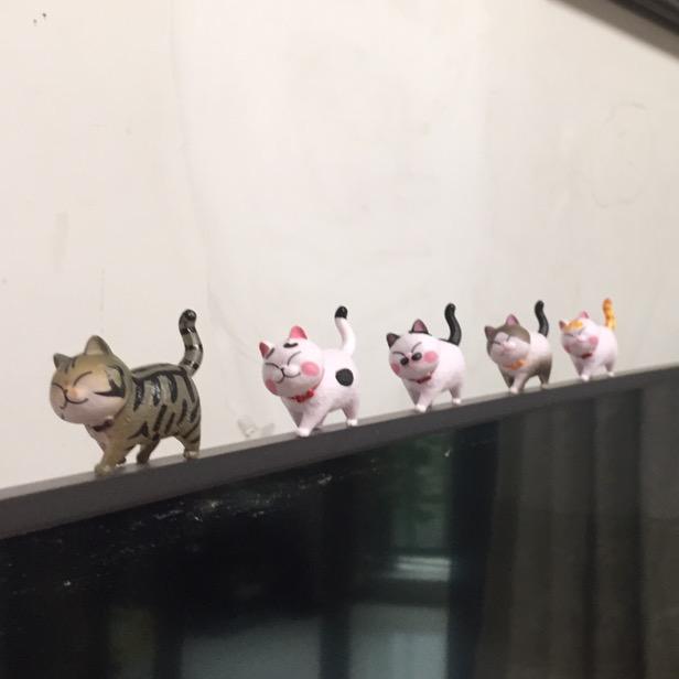 ✨青春闪了腰✨