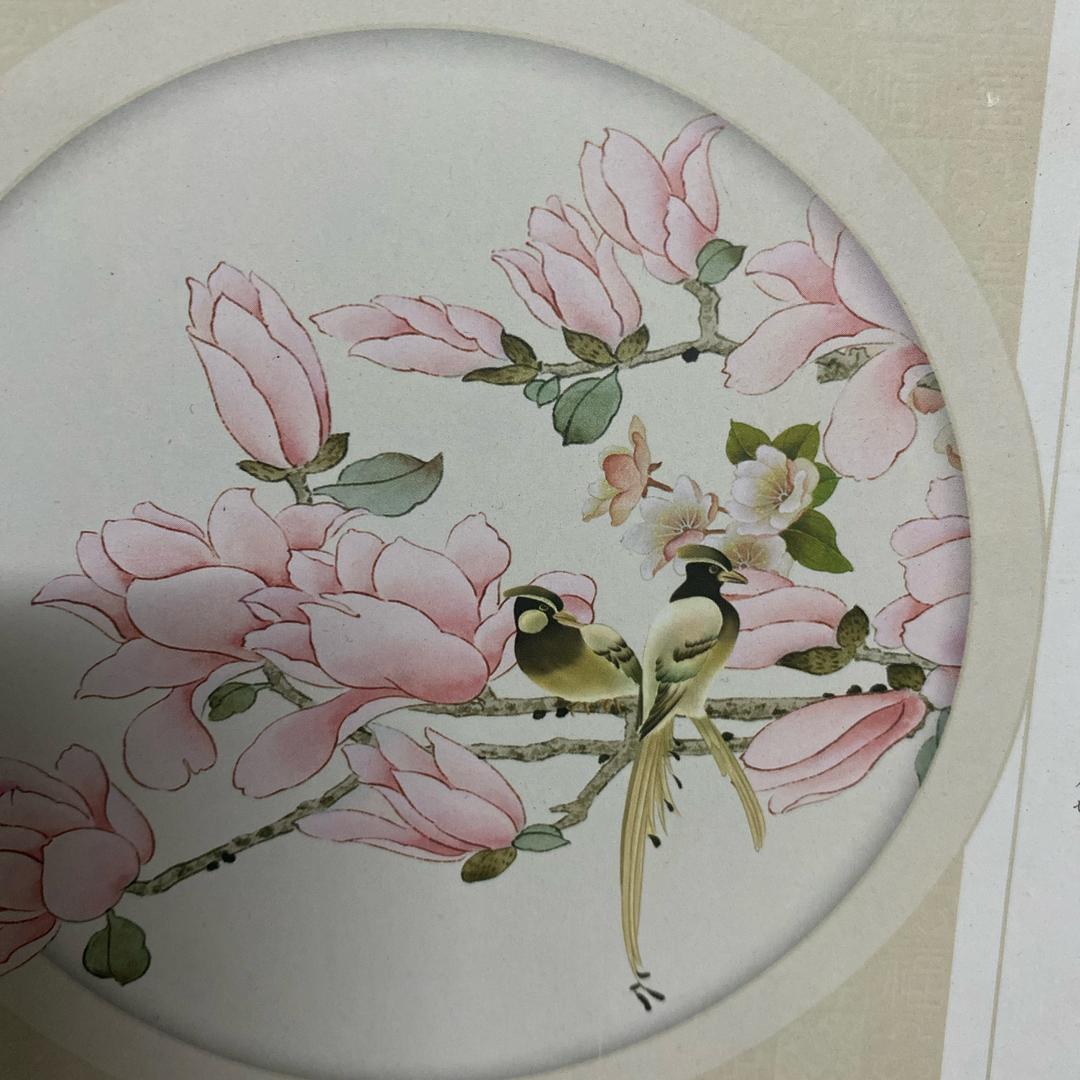 沛姗
