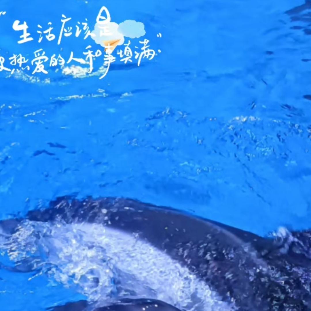 海世界游玩攻略推荐官