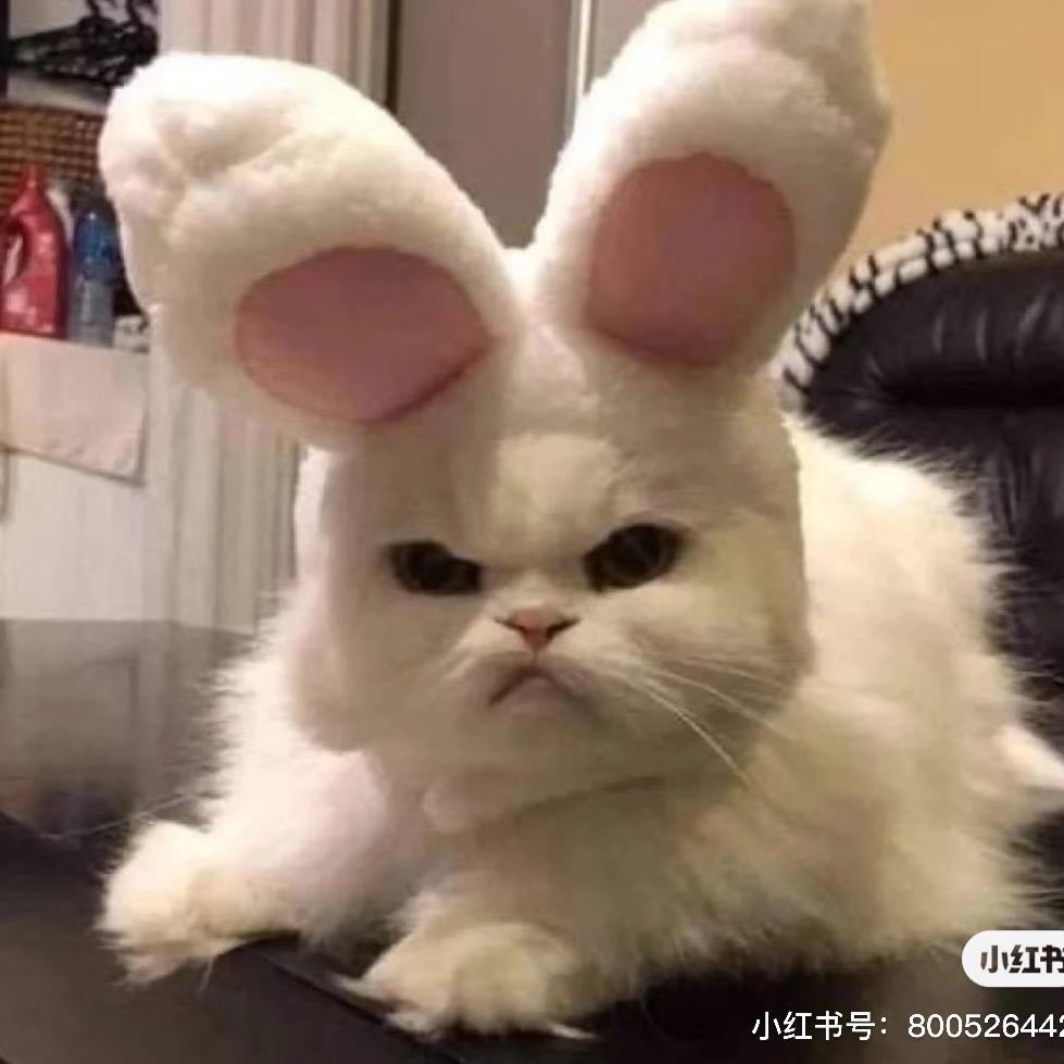 抹茶慕斯