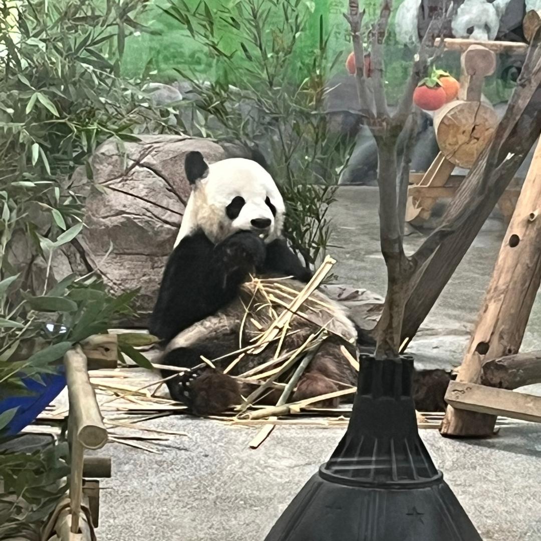 ☞盧爺☜
