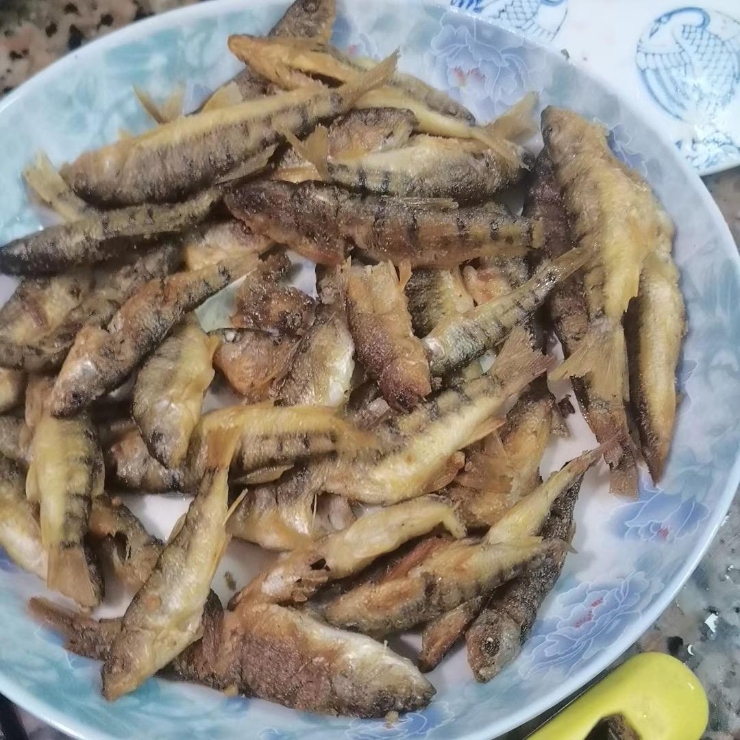 泛红小子