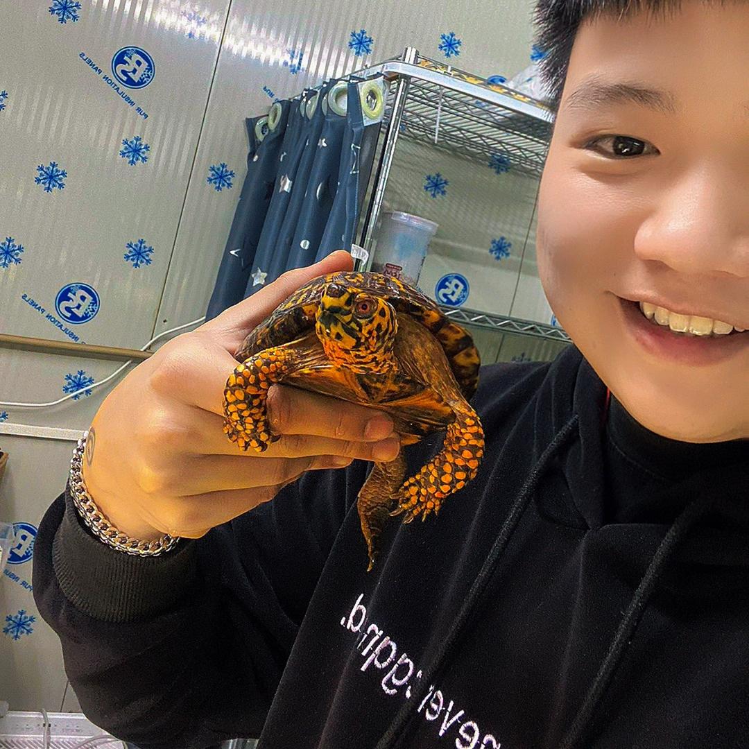 老钟爱养龟