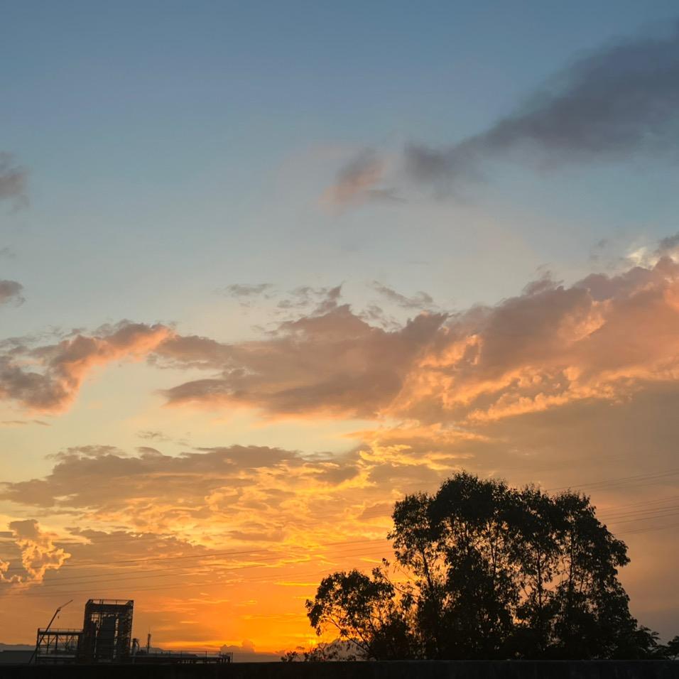 看不到看不到看不到