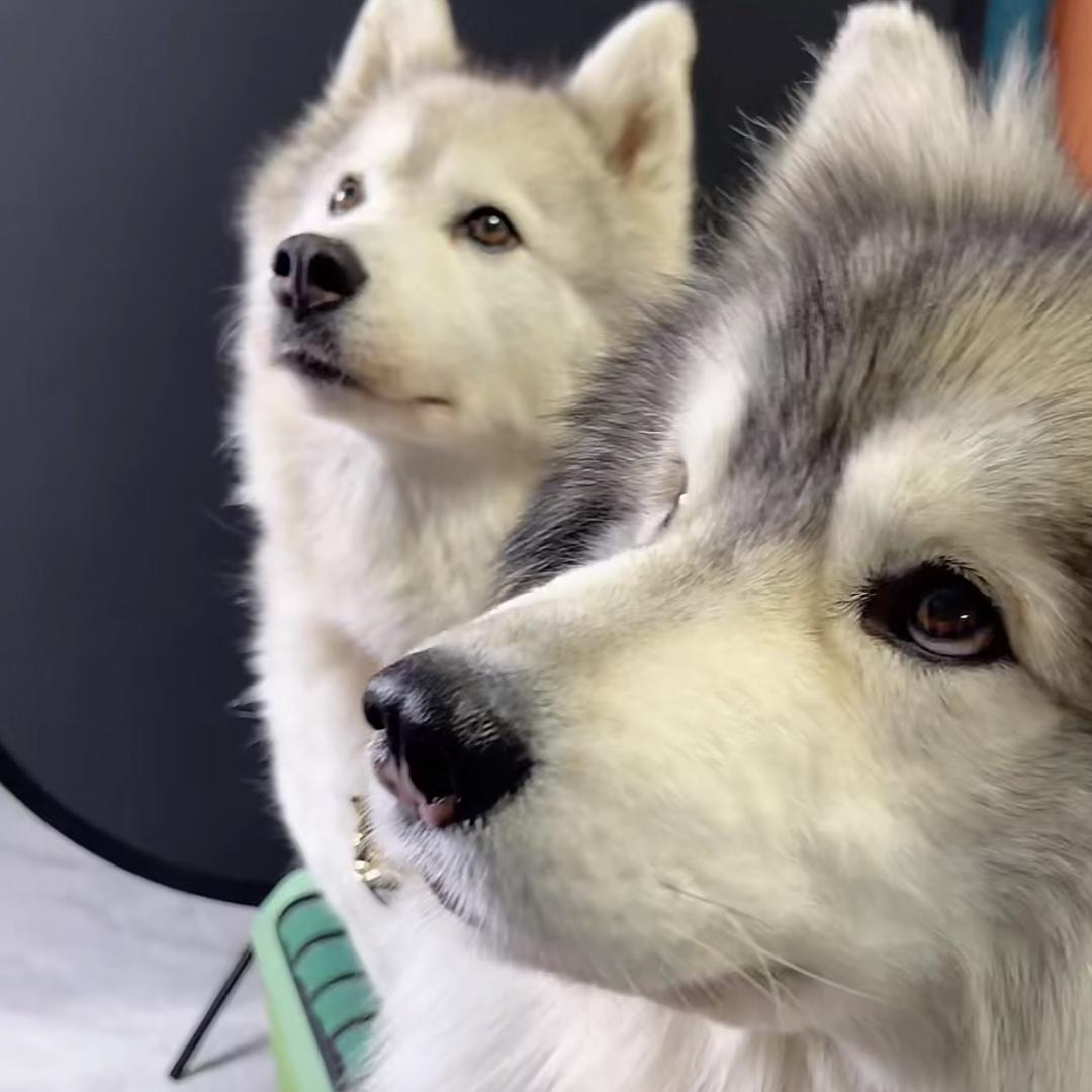 啦啦啦77777嗨呀