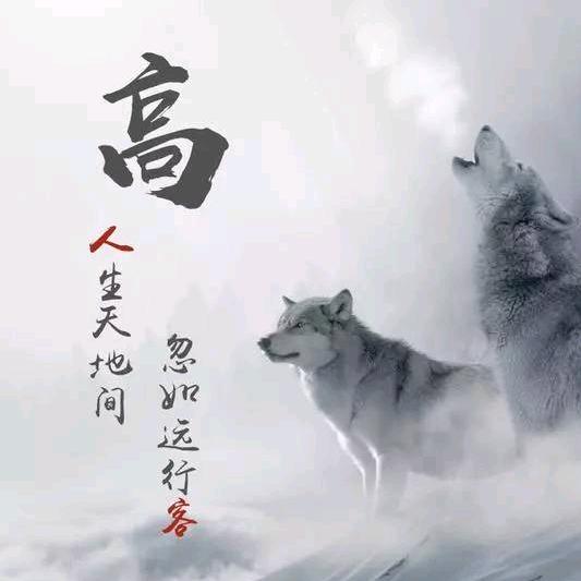 🇨🇳ヾ陌✧尘 ツ 🇨🇳