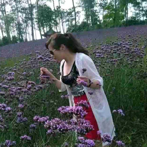 小清