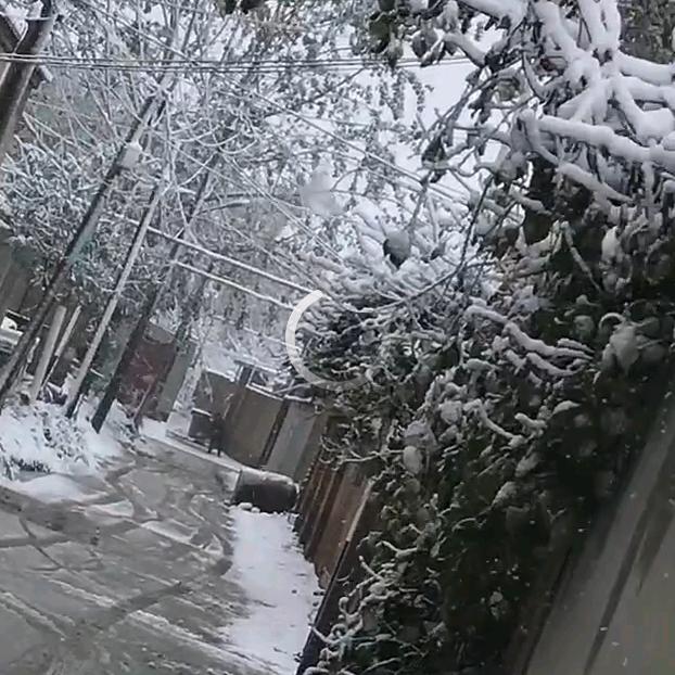 我若安好便是晴天