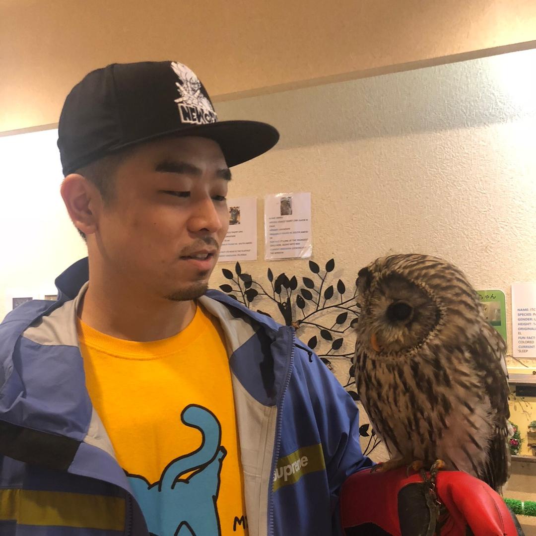 Bigdog王可