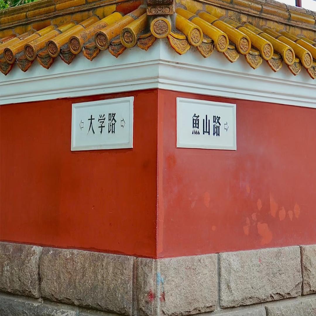 到处走走停停