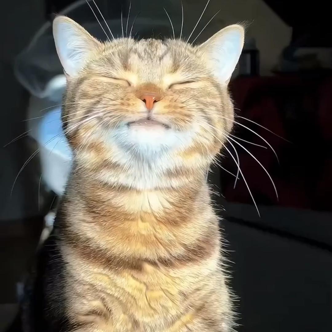 扣扣呐扣扣哎妈扣扣呐