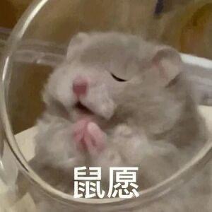 测试12345头像