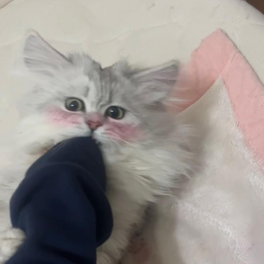 杨滚滚打工日常