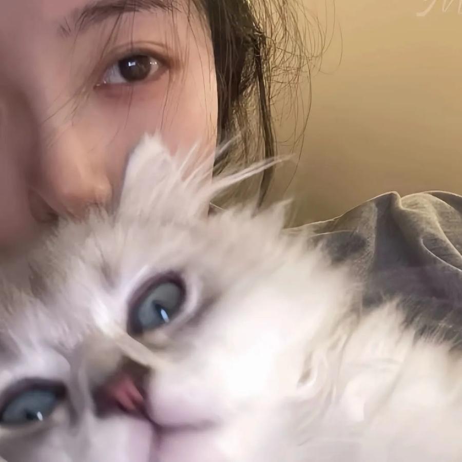 白不白泽