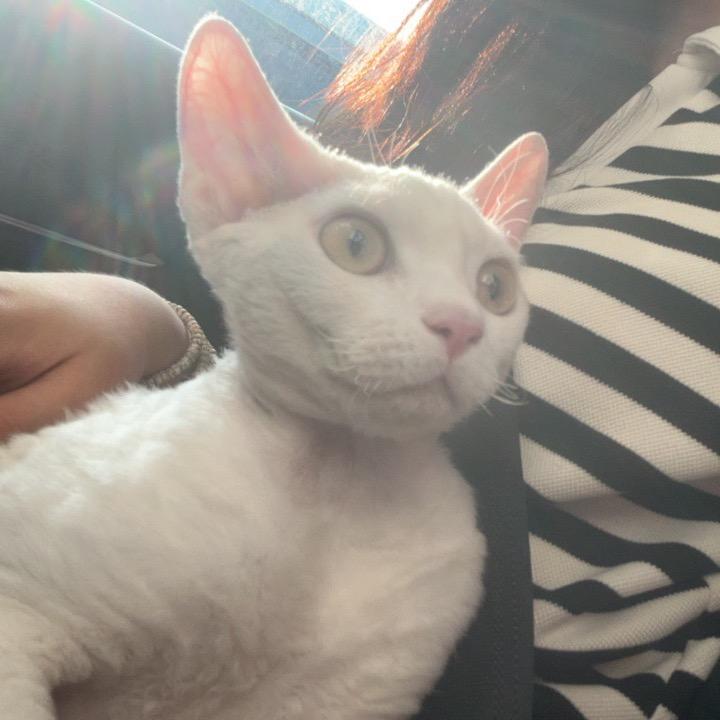 用它坤叔给买的相机给孩子随便拍点