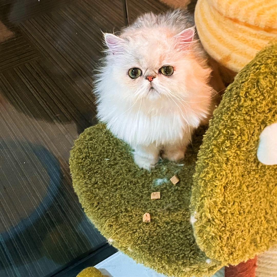 吾榕业务员儿