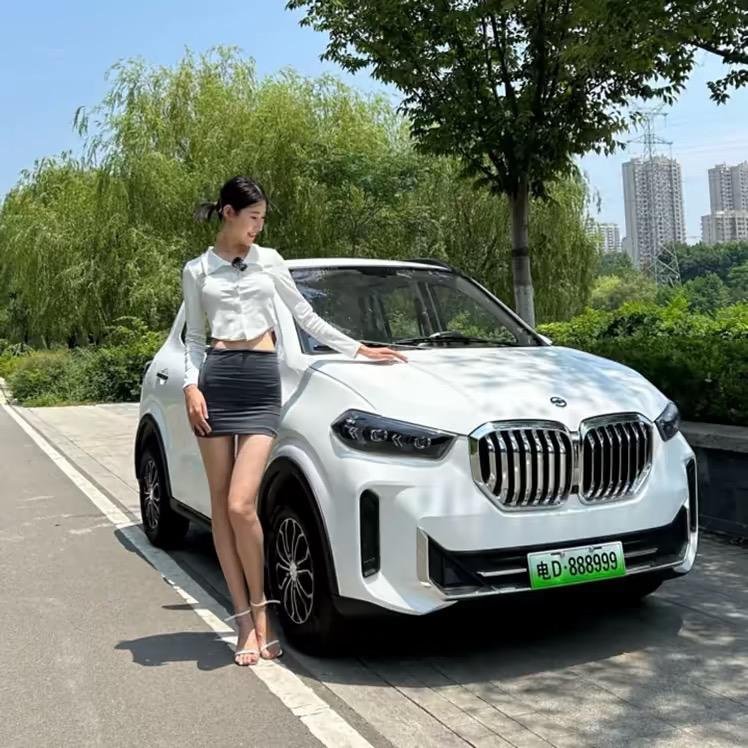 新能源汽车工厂直销