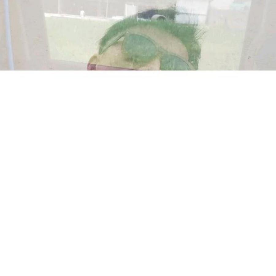 德牧学徒