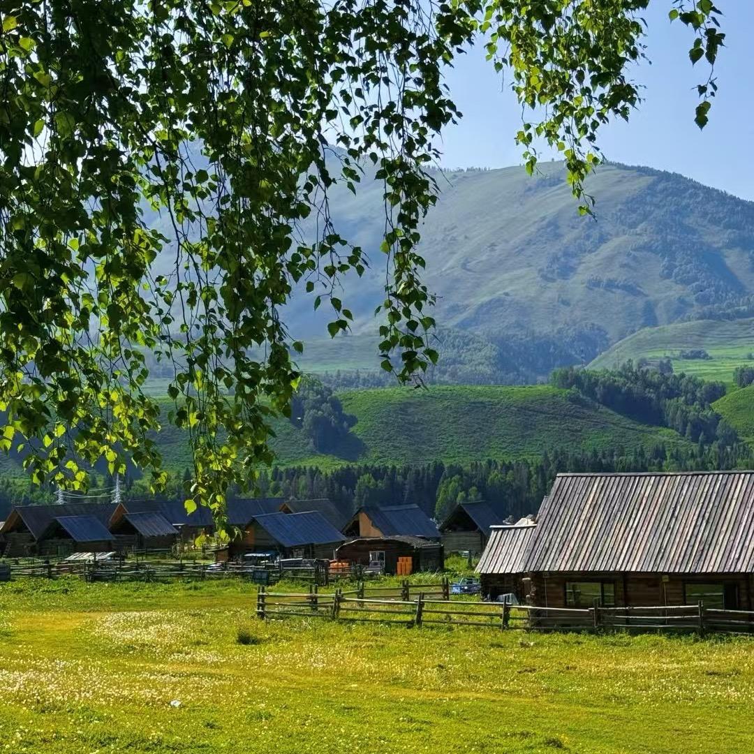 爱学习的小糊涂