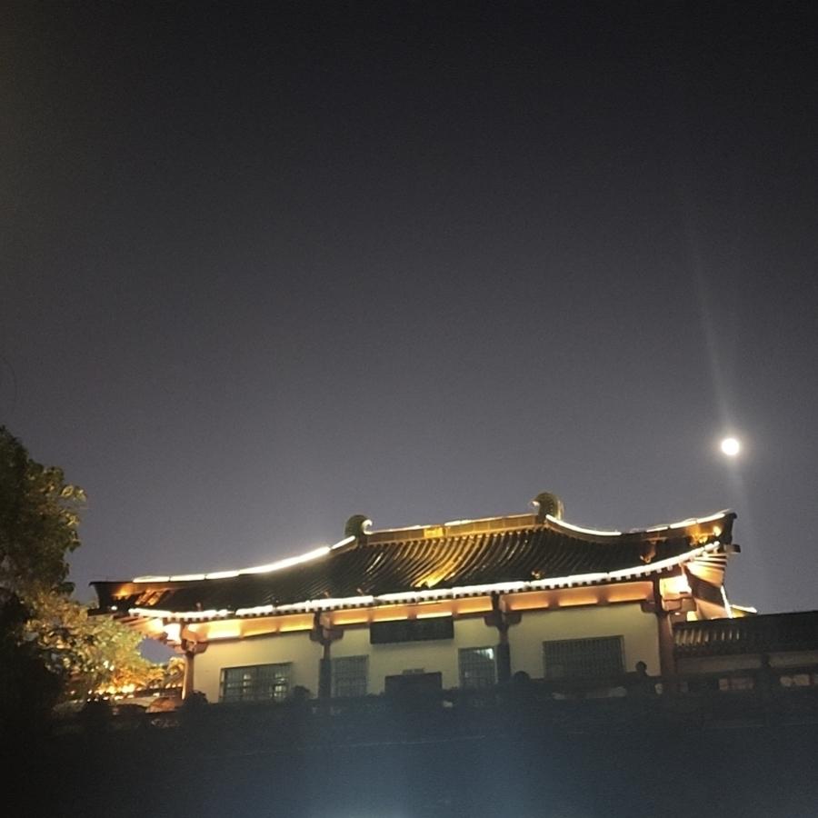 嘟嘟