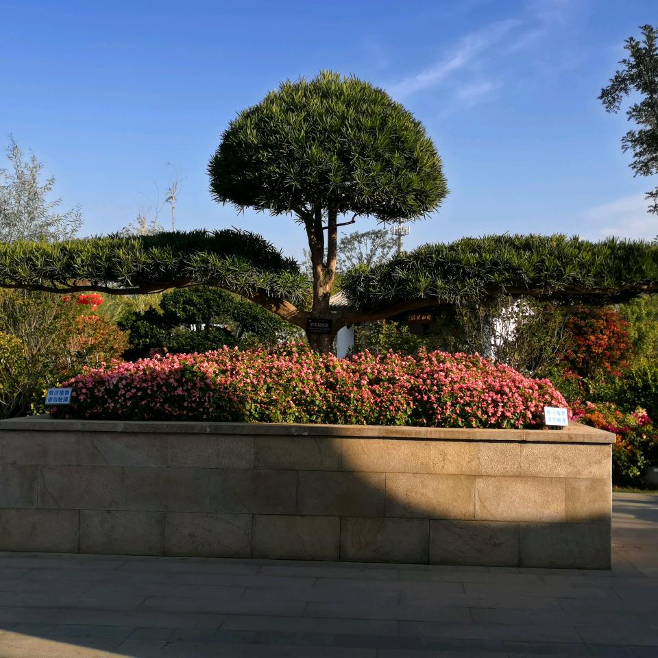 如人饮水o           .