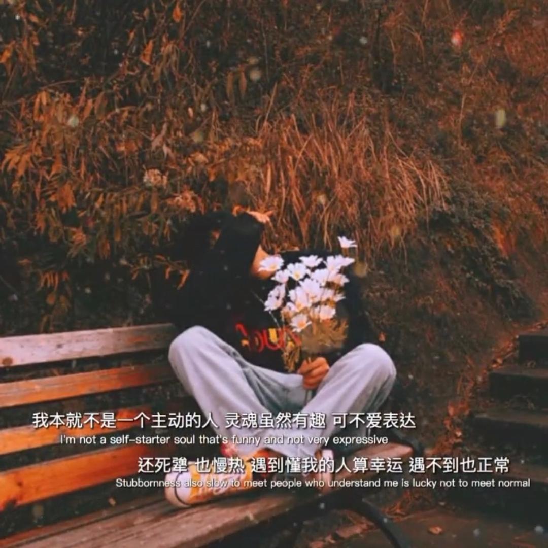 Yang乐多～