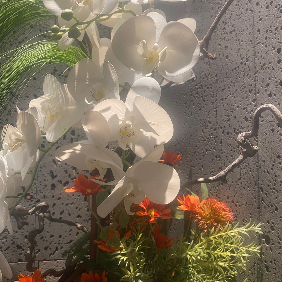 浪漫季节