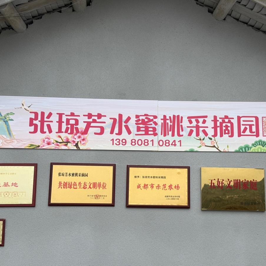 张琼芳水蜜桃采摘园-农家乐