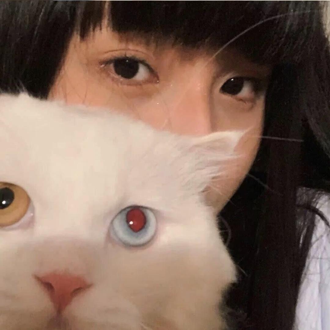 💡三金鱼🐟