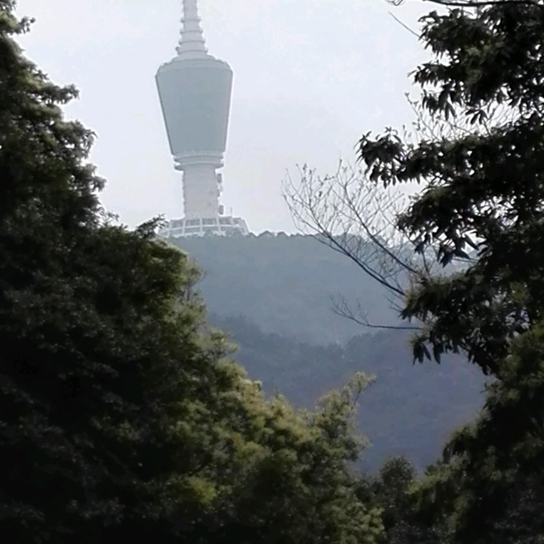 天河水🍒୧🏹