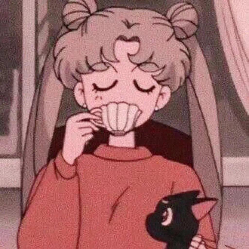 卷卷同学