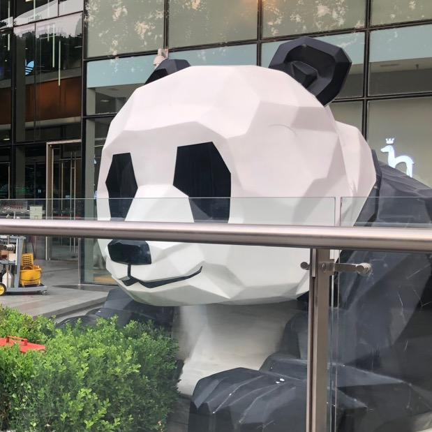 昨天太近明天太远