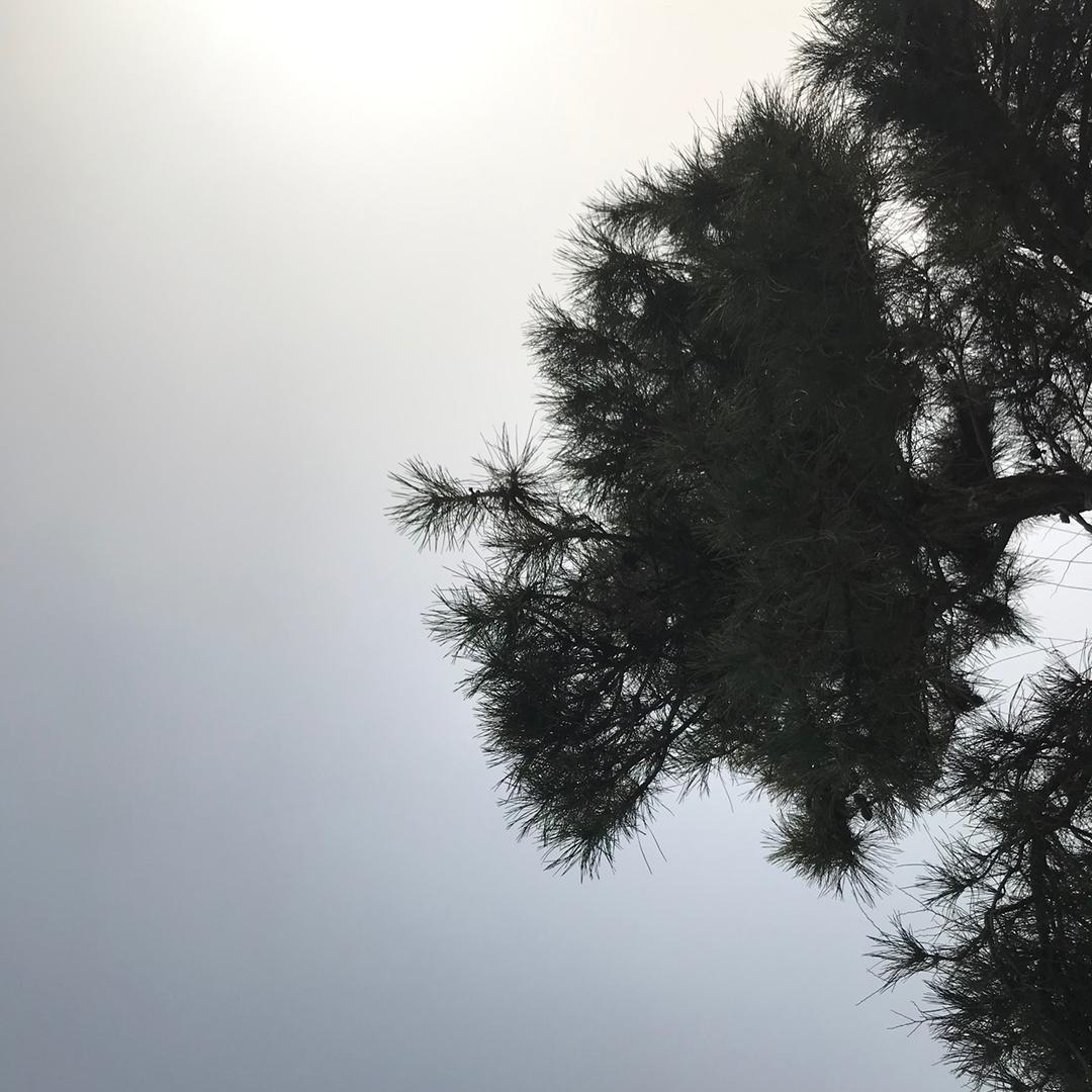 一一一一一一一