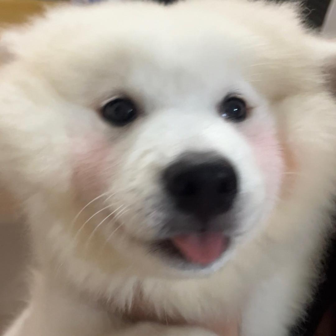 大福耶耶