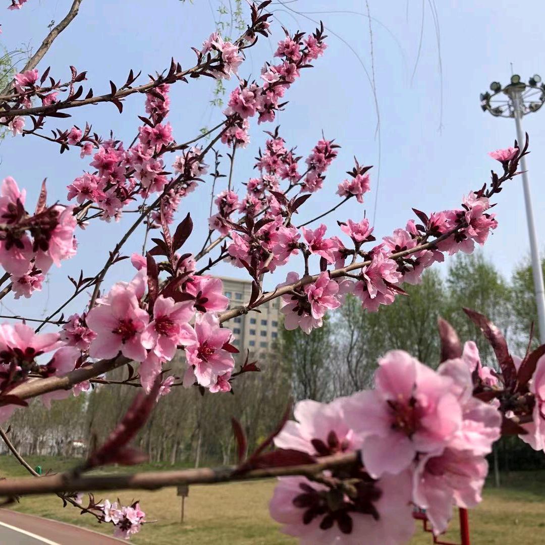 光风霁月！拒私聊