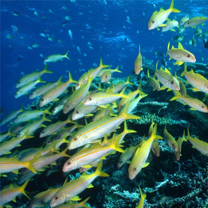 不愁鱼海杆工厂