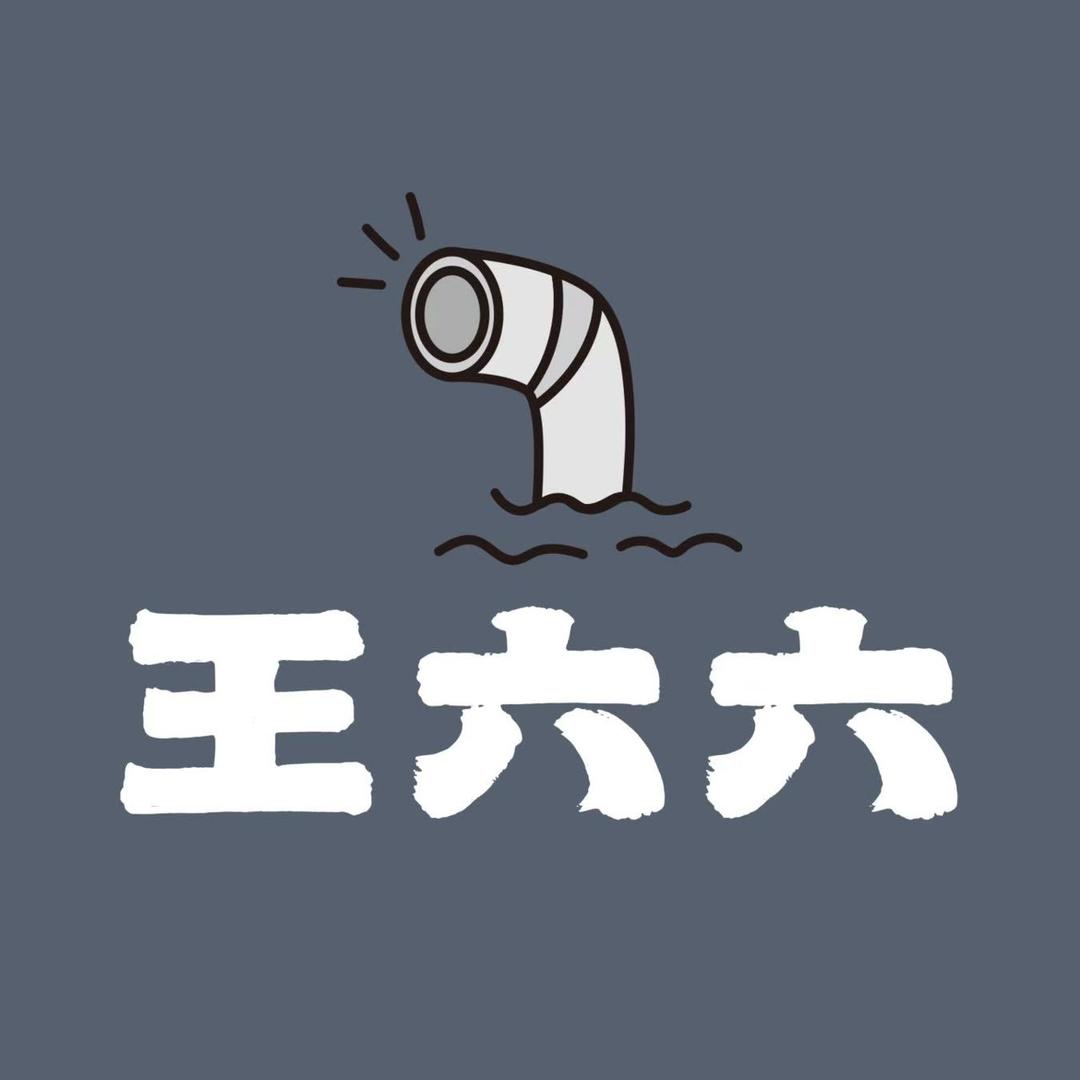 王六六说净水