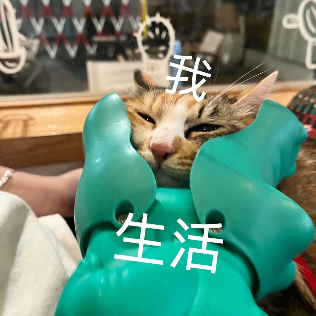 梁癫癫的卖茶日记