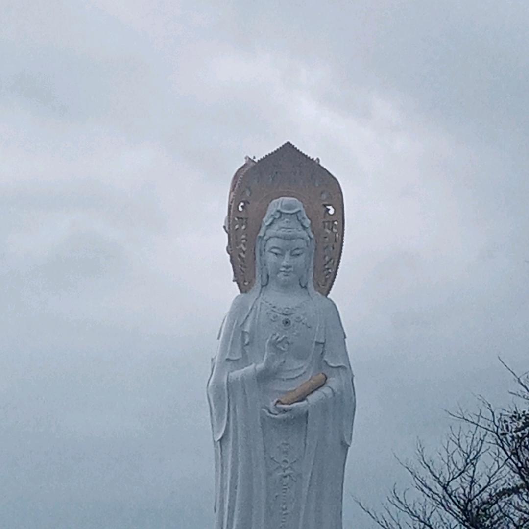 如果爱就不放手