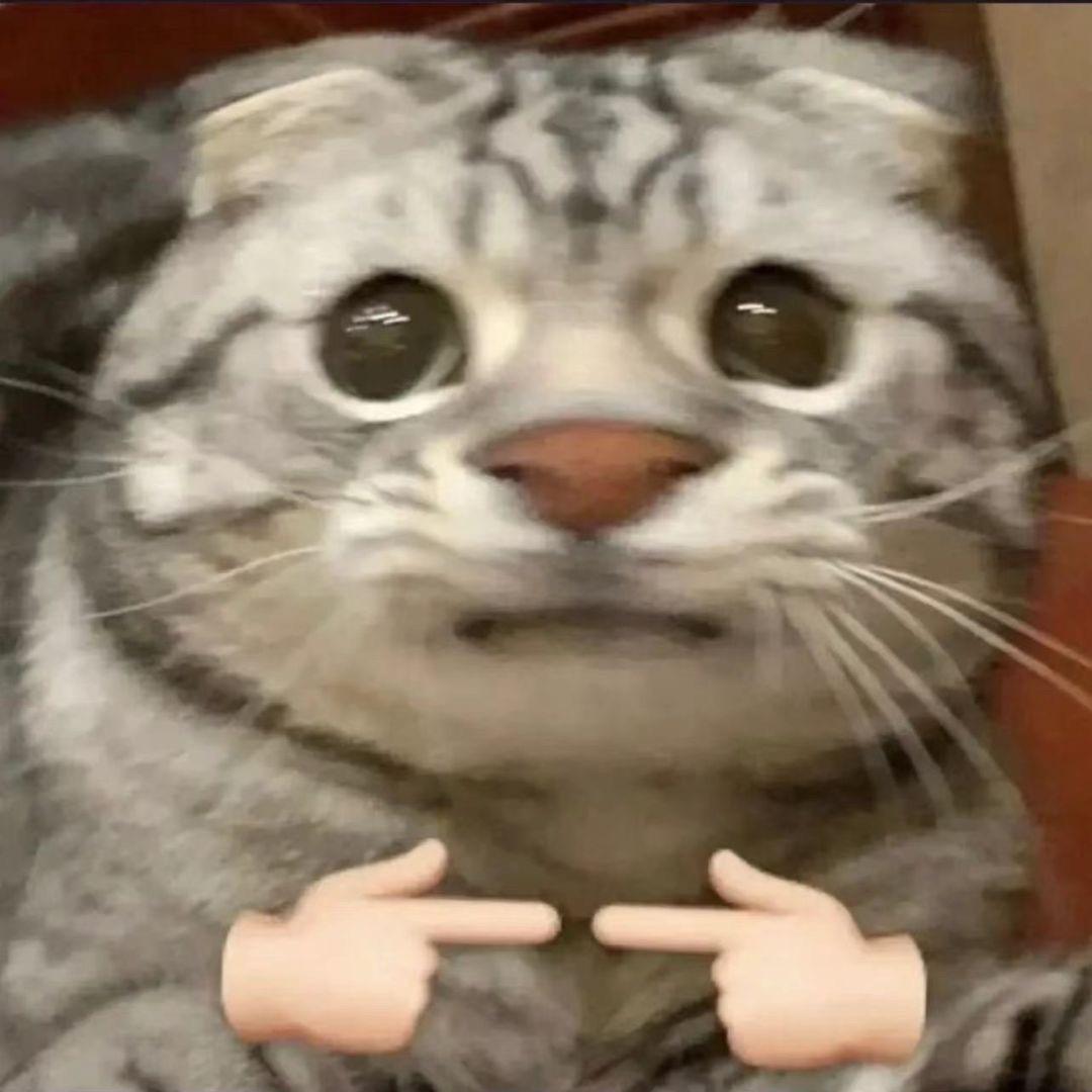 美少女壮士z z