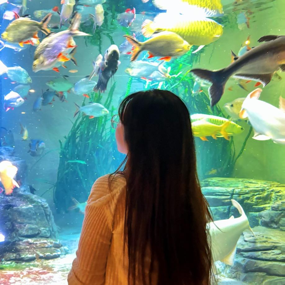 晴子 Nail（郑州美甲美睫）