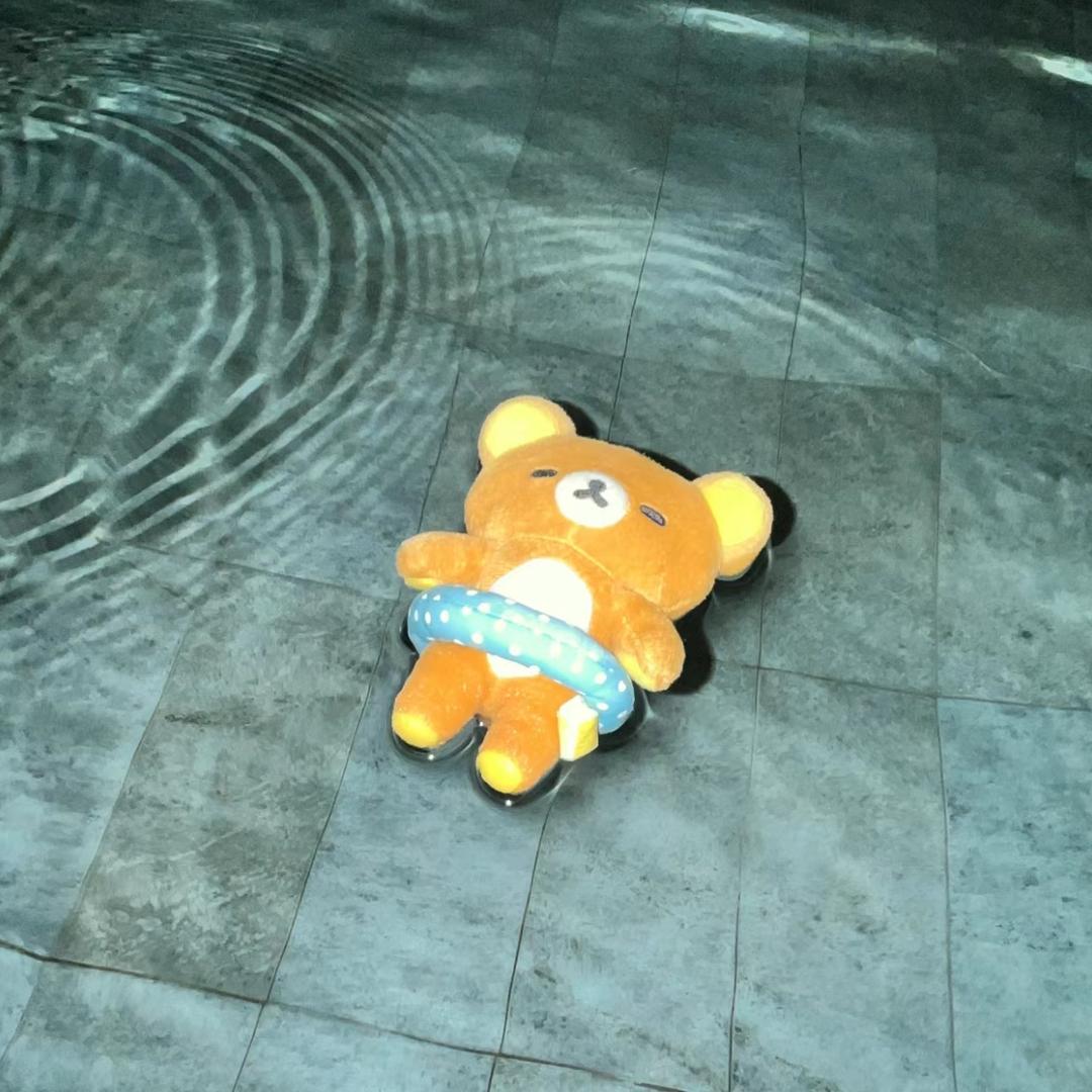 排排排