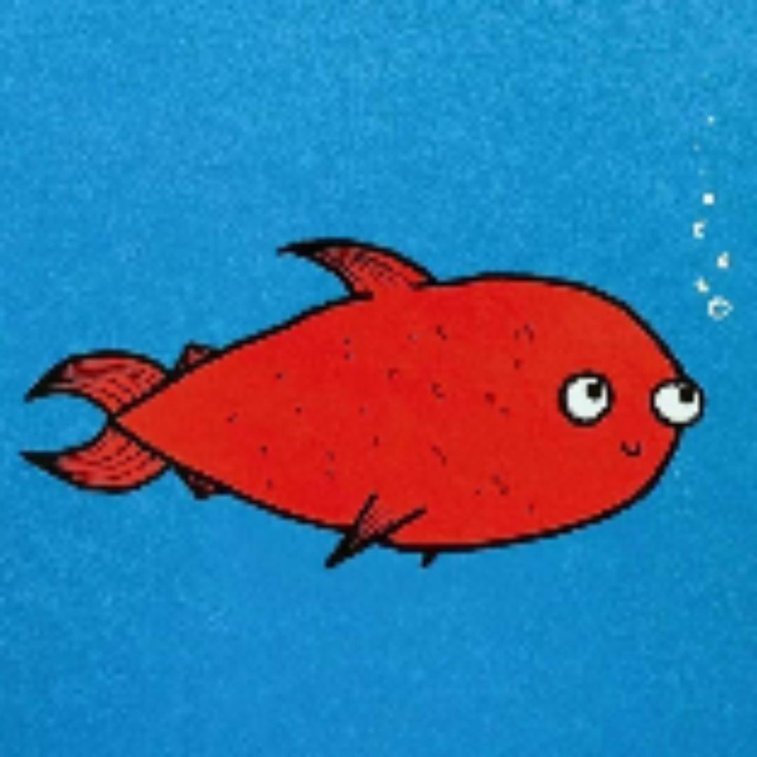 杰尼龟瓦德路亚渔具