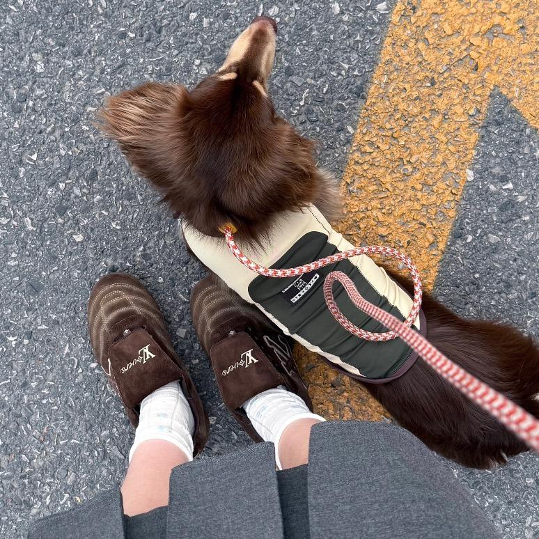 渝嘉工厂二号店（文文）